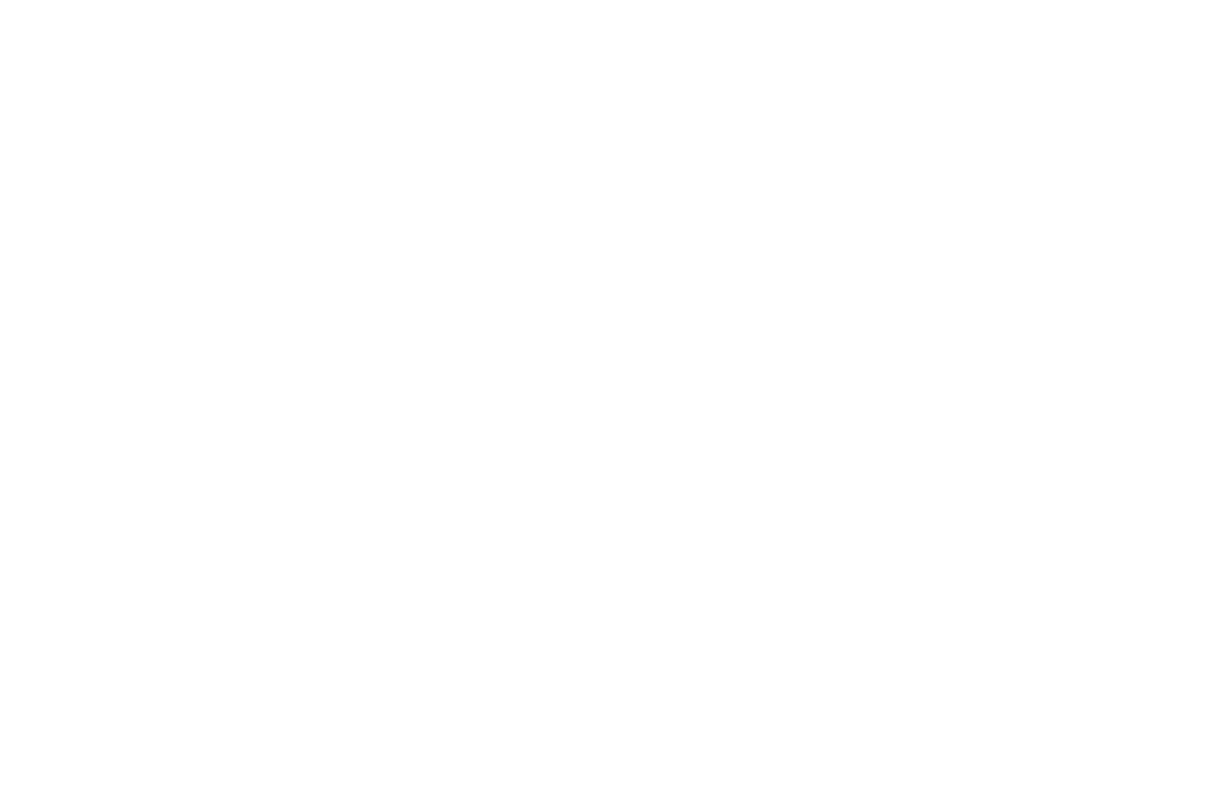 Festival 1