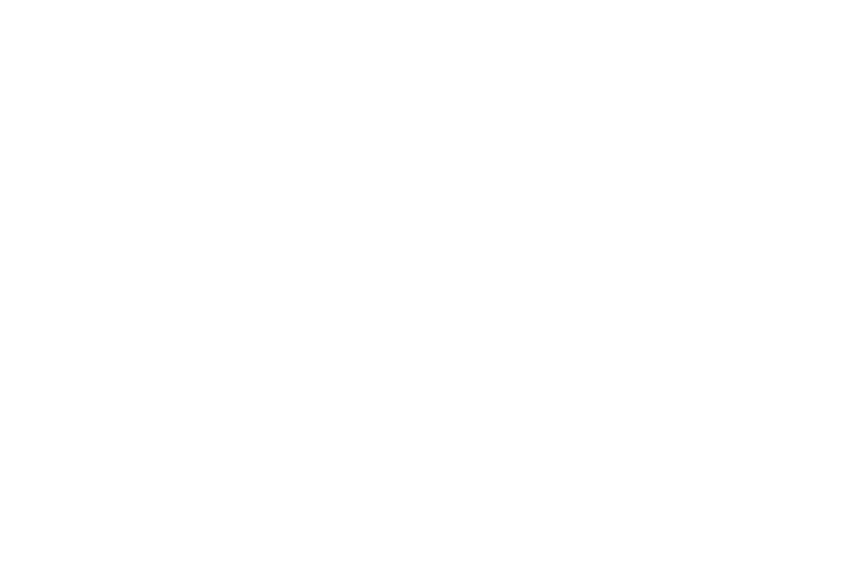 Festival 2