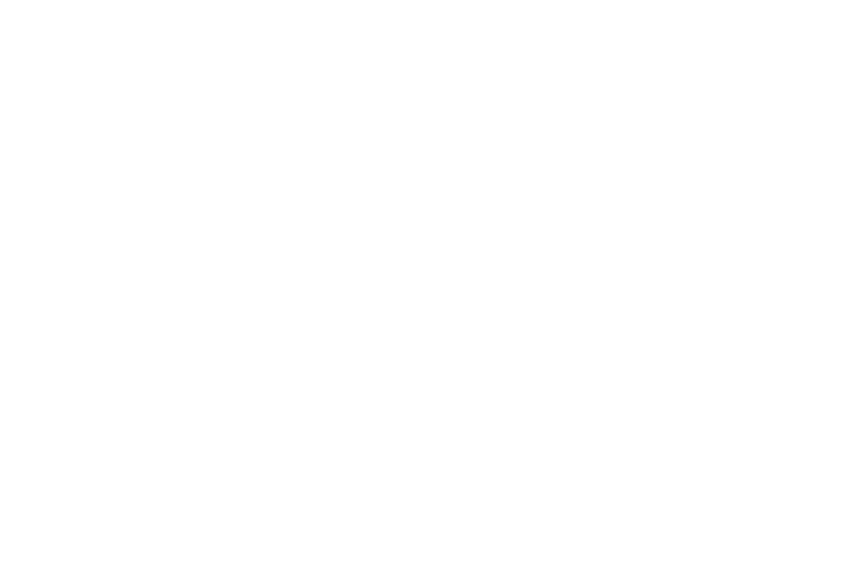 Festival 4