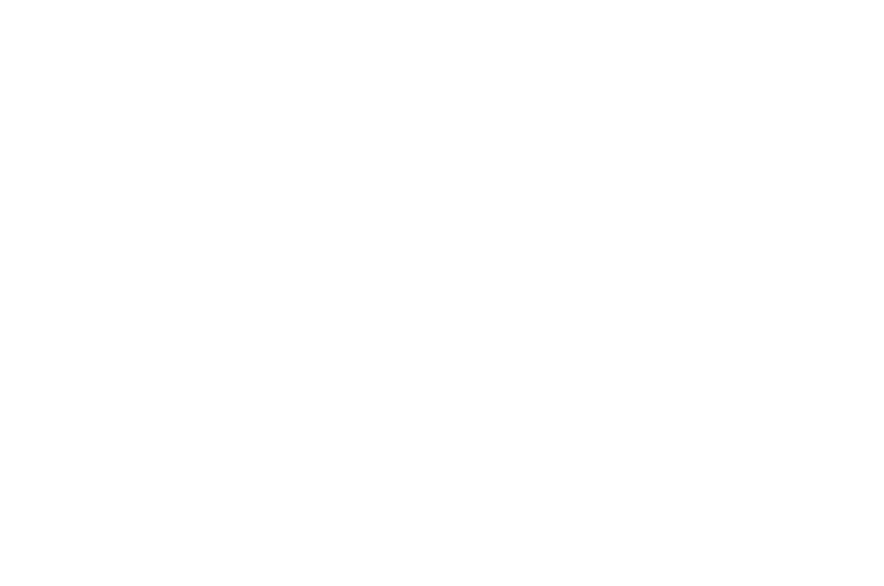 Festival 1