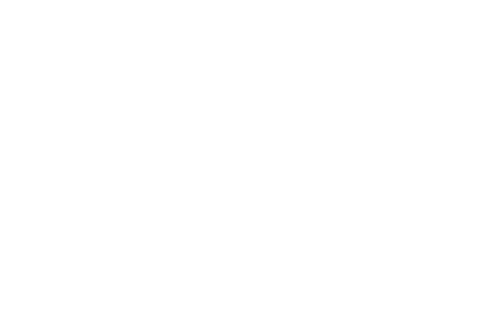 Festival 10