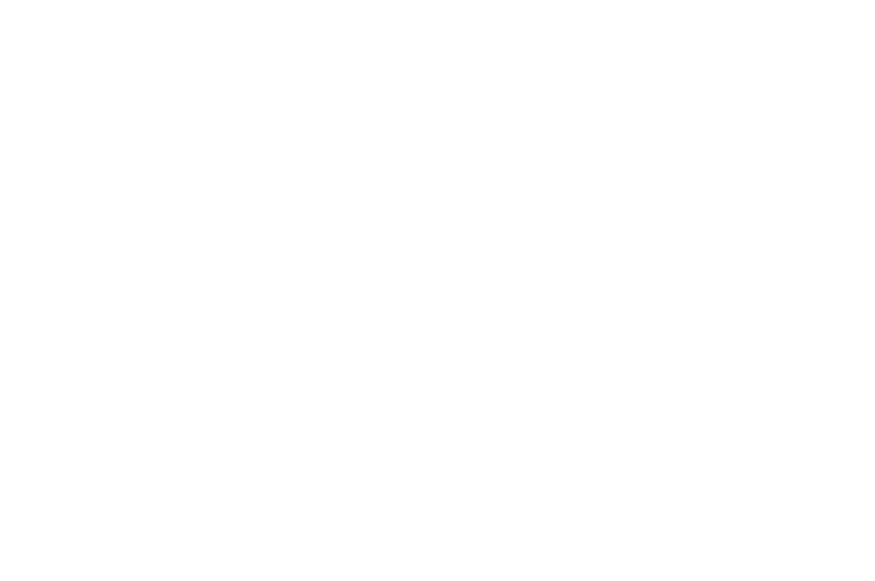 Festival 2