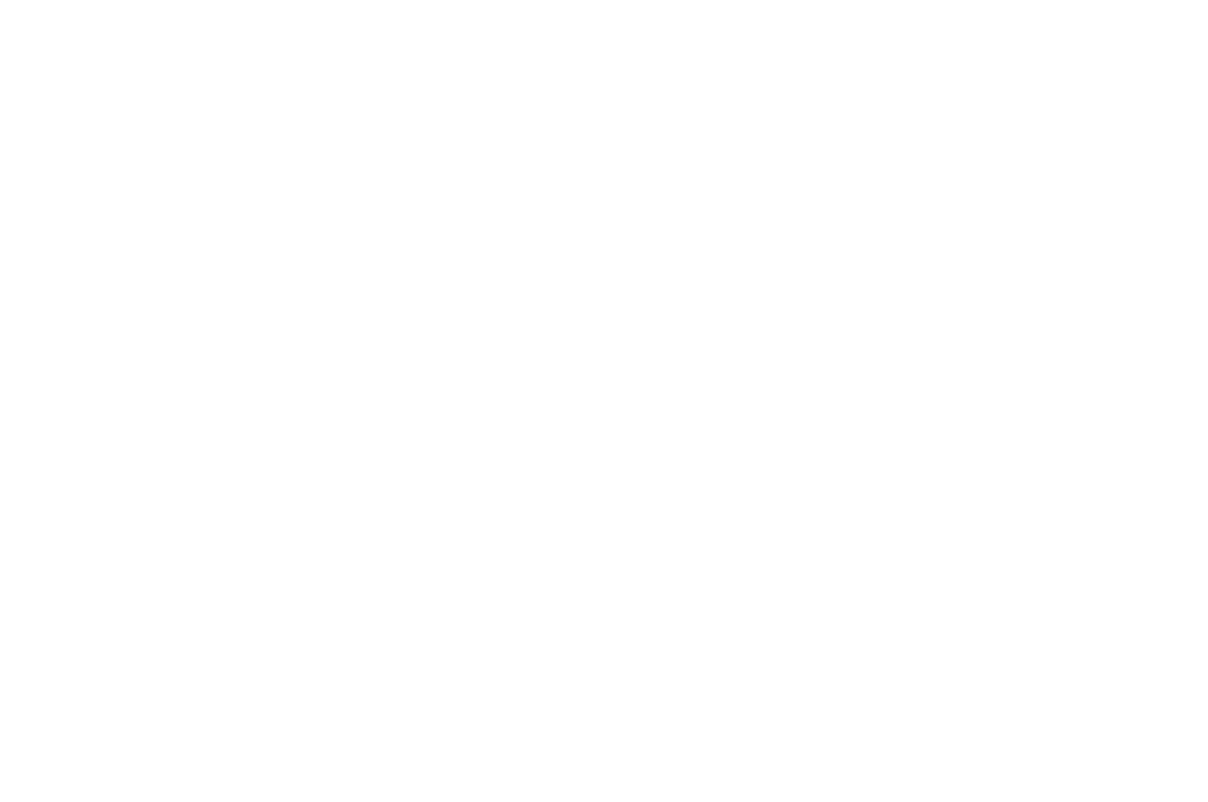 Festival 3