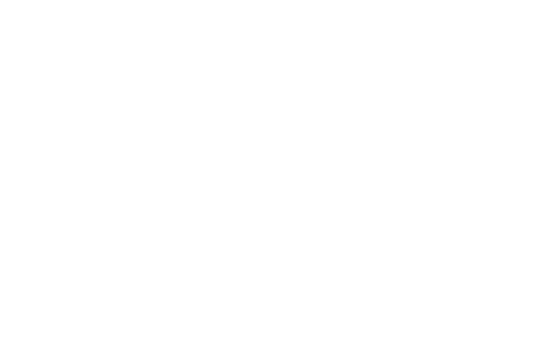 Festival 4