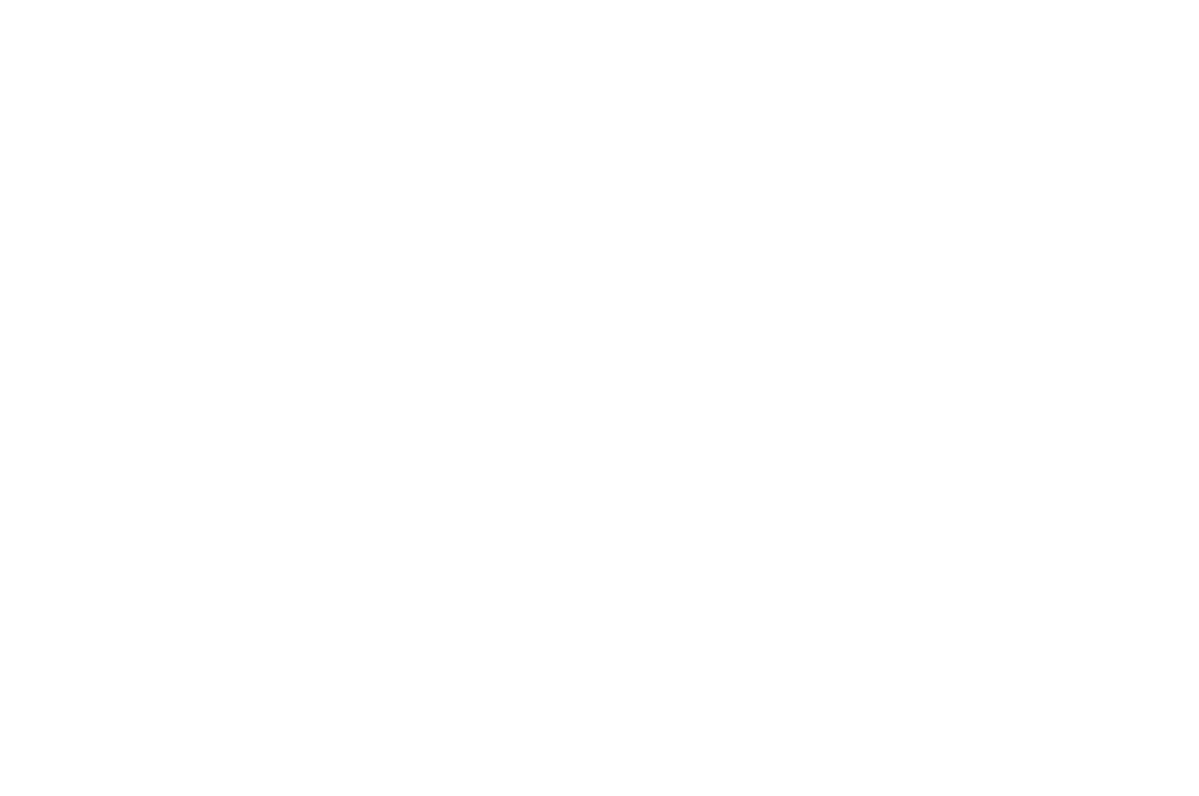 Festival 7