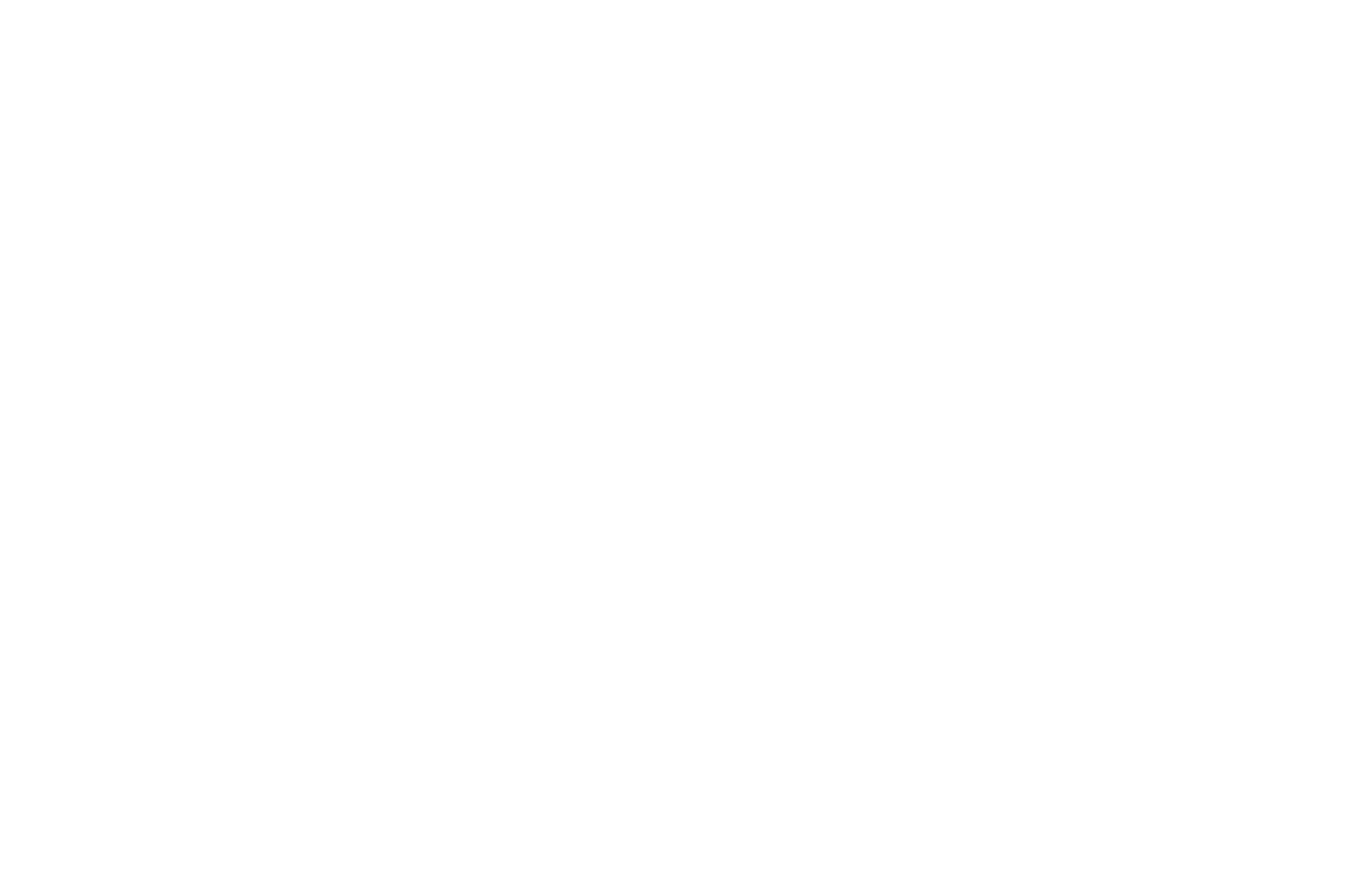 Festival 8