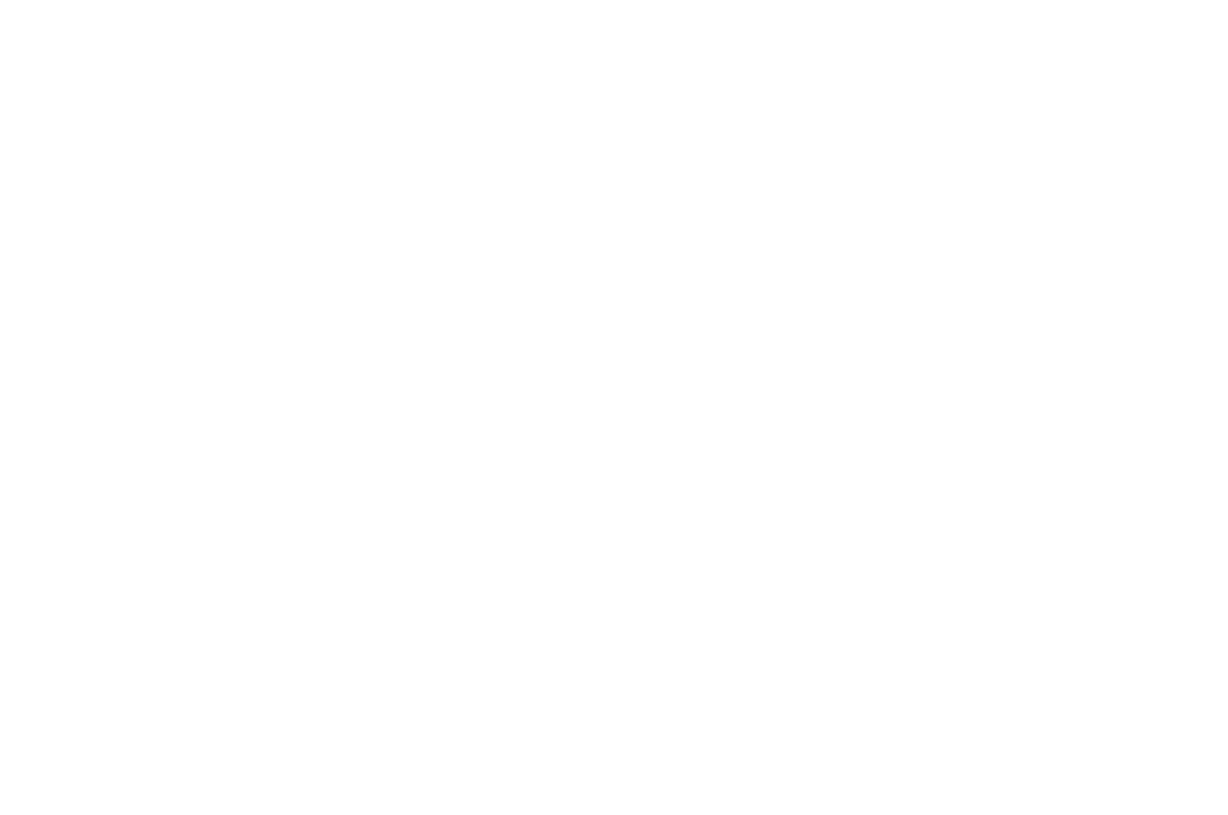 Festival 9